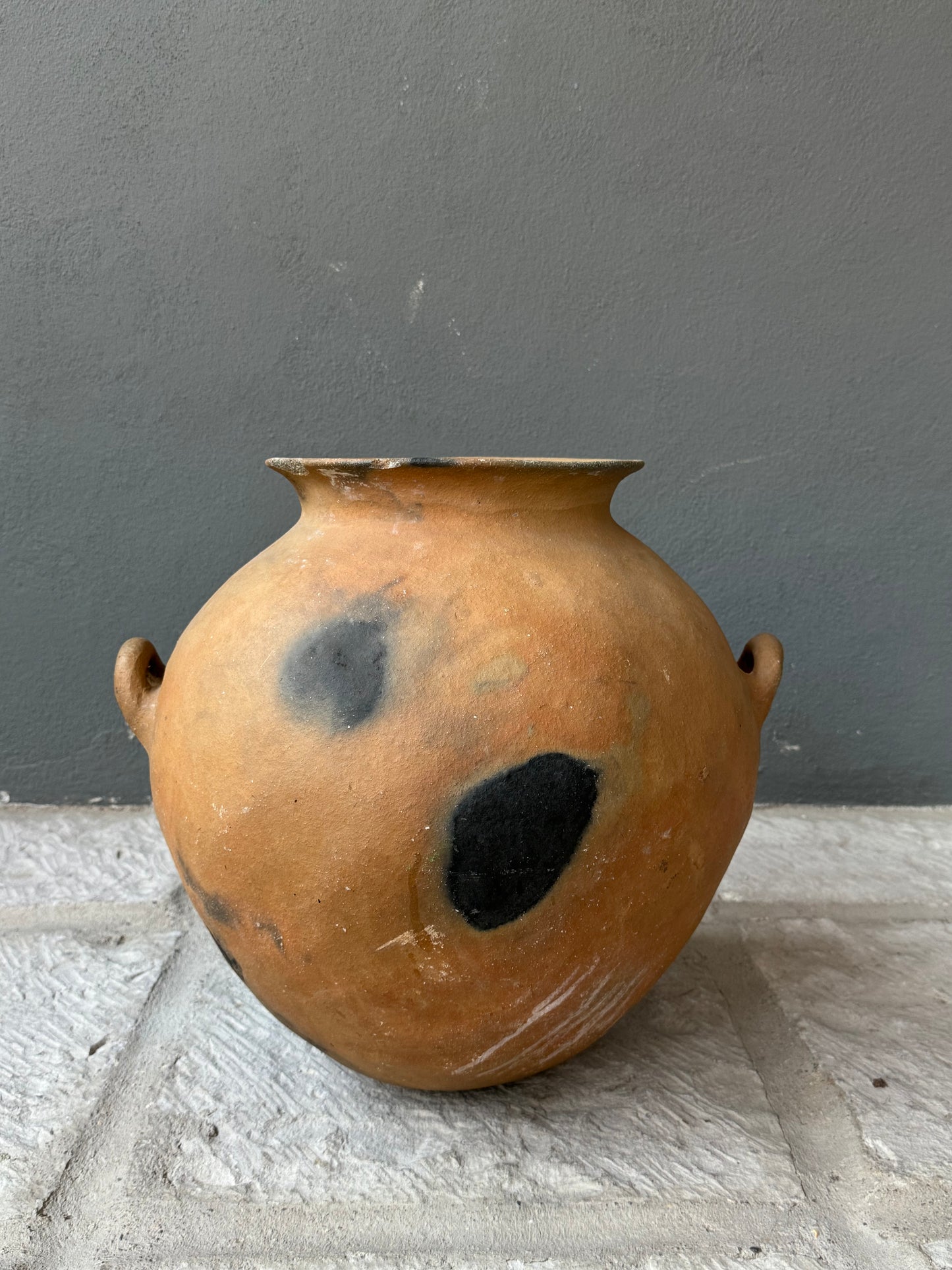 Ceramic Water Pot From The Sierra Norte Region Of Puebla/ Olla De La Sierra Norte De Puebla