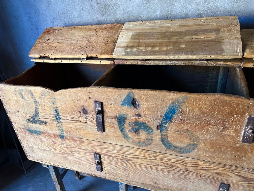 Mid 19th Century Colonial Storage Chest From Mexico | Baul Colonial de madera Sabino de la Sierra Gorda de Queretaro