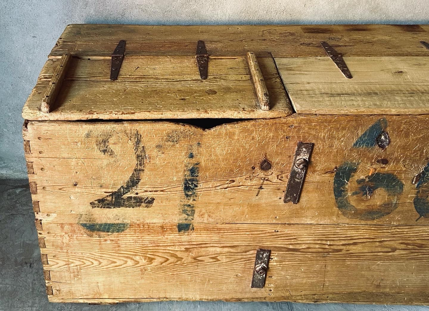 Mid 19th Century Colonial Storage Chest From Mexico | Baul Colonial de madera Sabino de la Sierra Gorda de Queretaro