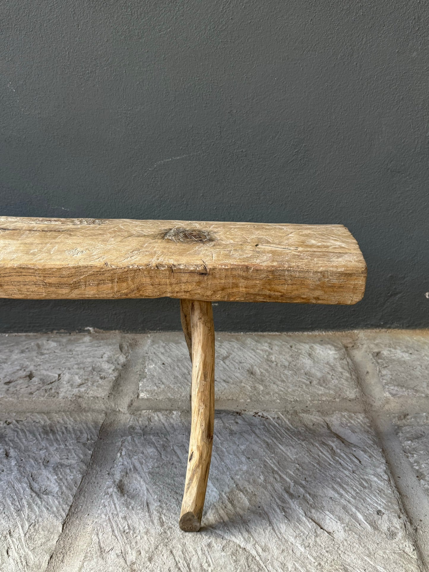 Sabino Primitive Bench From San Luis Potosí