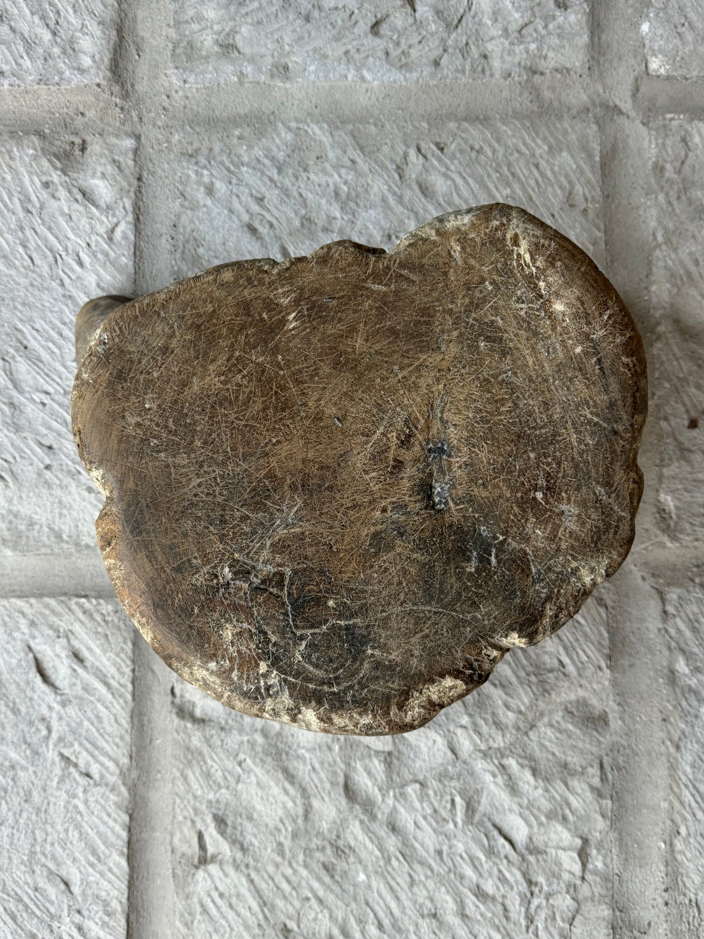 Primitive Mesquite Stool From Guanajuato / Banco Primitivo De Mesquite