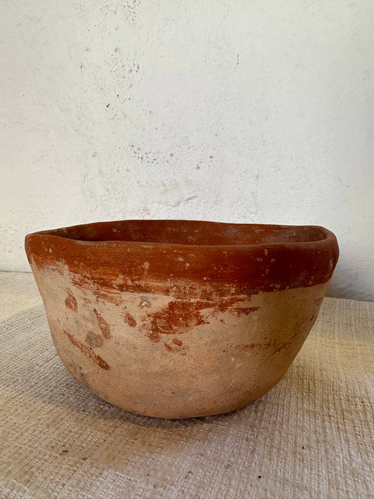 Veracruz Apaxtle Pot